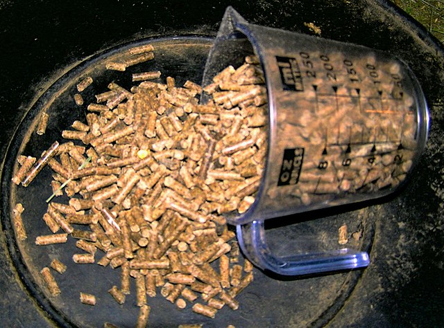 Animal Nutriution Ingredients